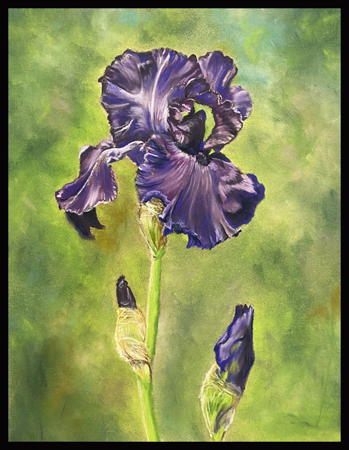 Vibrant Pastel painting of purple Iris